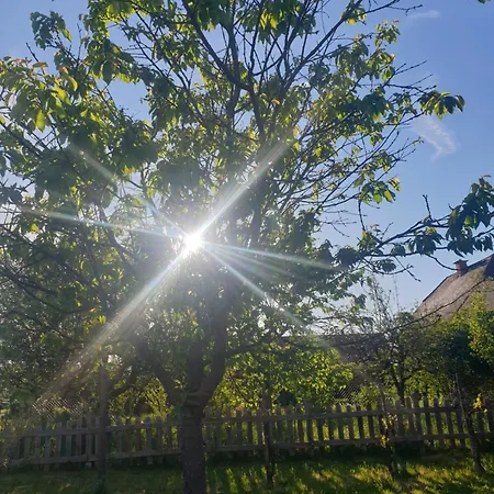 Stammhaus - Somnium Suedsteiermark Weitersfeld an der Mur