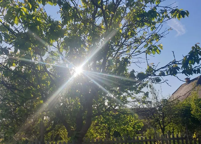 Stammhaus - Somnium Suedsteiermark Weitersfeld an der Mur